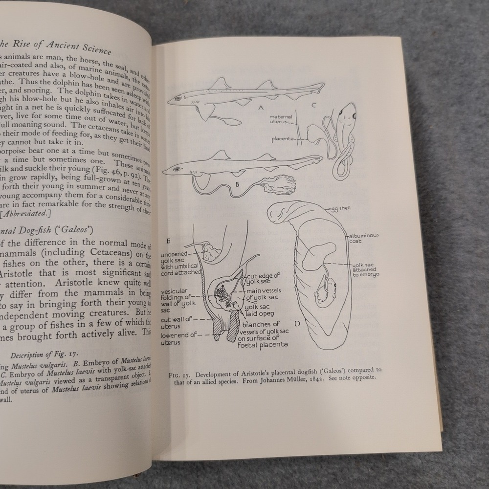 A History of Biology Charles Singer 1962 Revised Edition Hardcover Dust Jacket - Picture 9 of 10